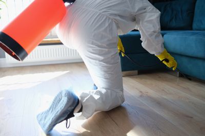 Commercial Fumigation in Coeur D Alene, ID