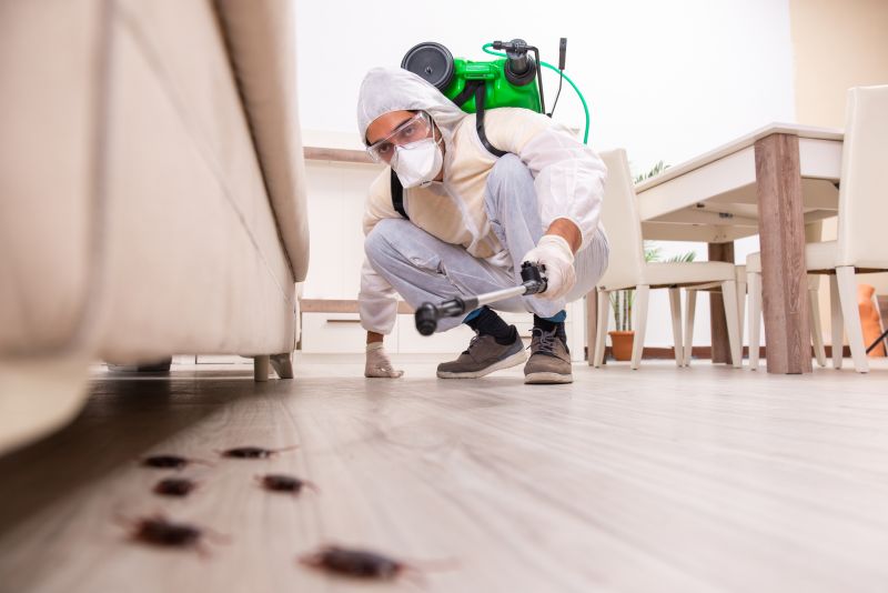 Extermination Of Bed Bugs detail