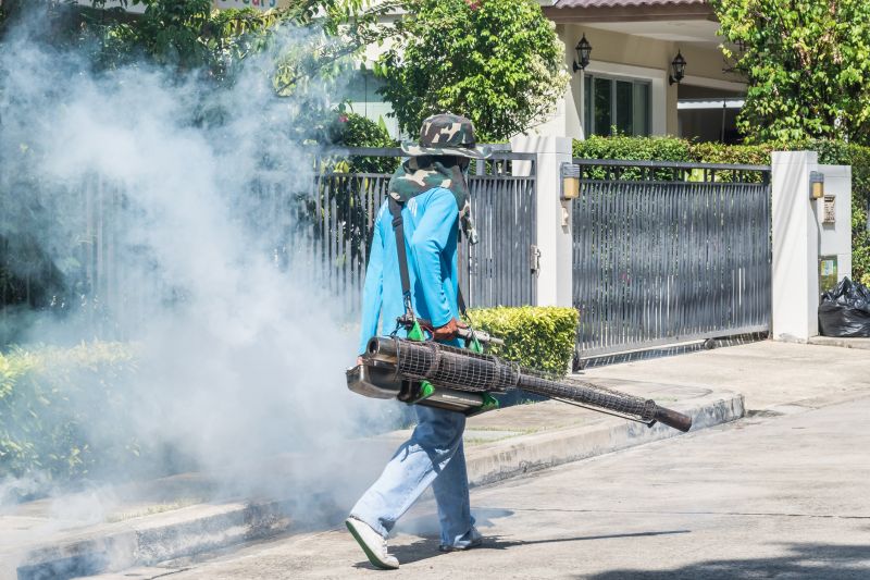 Spider Fumigation Service in Cumming, GA