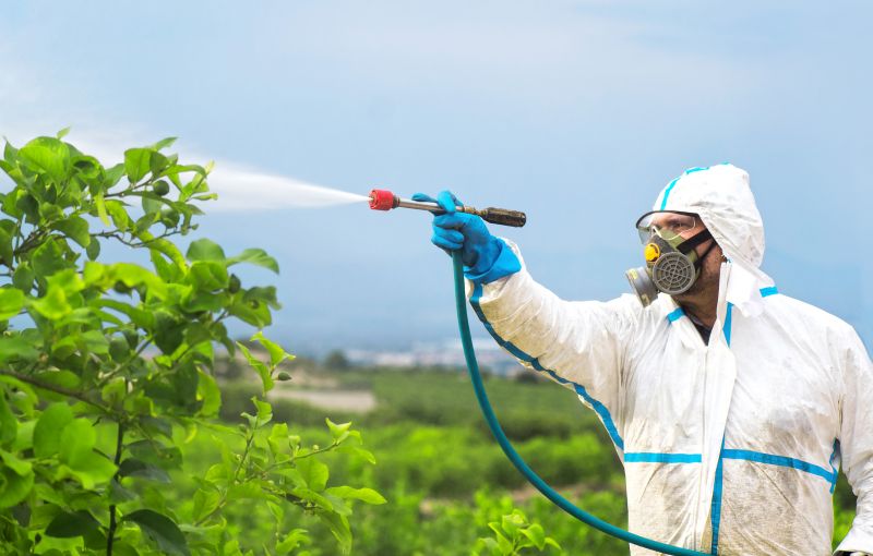 Pest Fumigation Service in Phoenix, AZ