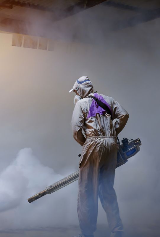 Spider Fumigation Service in Fort Collins, CO